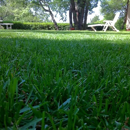 Domus Verdiana Alojamento de Acomodação e Pequeno-almoço 4*