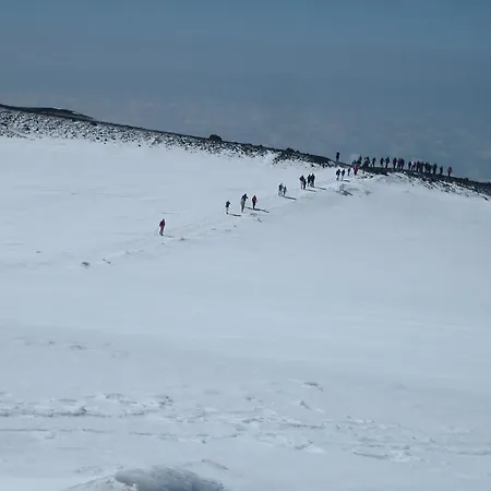Domus Verdiana Alojamento de Acomodação e Pequeno-almoço 4*
