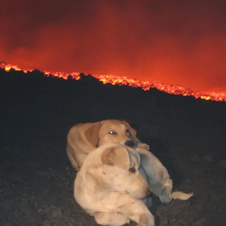 Alojamento de Acomodação e Pequeno-almoço Domus Verdiana Ragalna