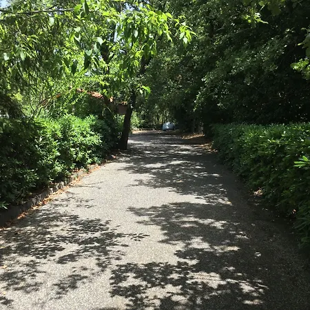 Alojamento de Acomodação e Pequeno-almoço Domus Verdiana Ragalna