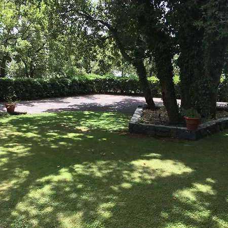 Domus Verdiana Alojamento de Acomodação e Pequeno-almoço