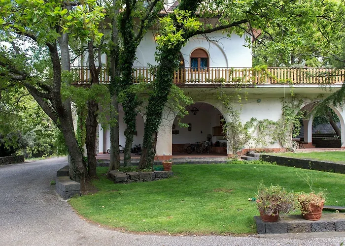 Domus Verdiana